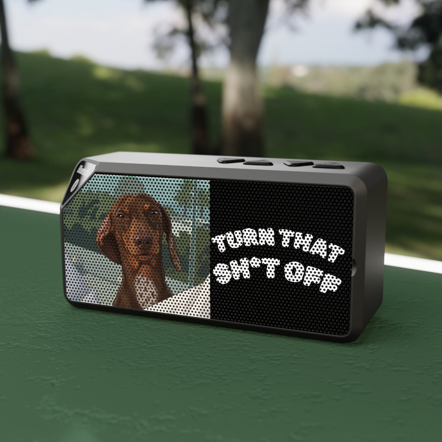Lost Dog Speaker